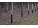 Gard la cheie pentru agricultura zootehnie constructii etc 354147 poza 4