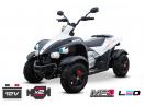 ATV Quad EVA 2 x 45W 12V