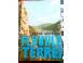 Fluviile terrei petre gistescu 1990 carti muzica filme 415511 poza 1