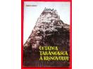 Cetatea Taraneasca a Risnovului, Emil Micu, 1969