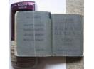 Dictionar lilliput, roman-german