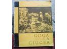 Goga la Ciucea, Ion Miclea, 1969