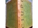 Aurel Ciupe, Raoul Sorban, 1967
