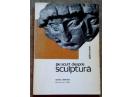 Pe scurt despre sculptura, Adina Nanu, 1966
