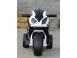 Motocicleta electrica pentru copil 1 3 ani bmw s1000rr 1x 12w 6v 4ah 552750 poza 1