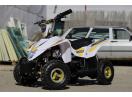 ATV Electric pentru copii 3-8 ani, ECO Maddox 800W 4 inch cu 3 Viteze