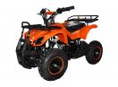 ATV electrica pentru copii Eco Torino 800W 36V cu 3 Trepte de Viteza