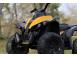 Mini atv electric pentru copii tiger 30w standard galben 624490 poza 5