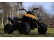 Mini atv electric pentru copii tiger 30w standard galben 624490 poza 2