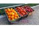 Rasaduri de rosii tomate ardei vinete castraveti salata 2025 produse piata alimentatie 629910 poza 5