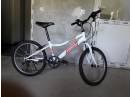 Bicicleta 20