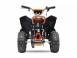 Atv aprilia 672373 poza 7