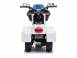 Mini motocicleta electrica police motorbike tr1912 standard alb 674271 poza 5