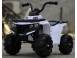 Atv electric pentru copii panda bb3201 motor 25w baterie 6v 4.5ah alb 678423 poza 1