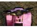 Atv electric pentru copii bj 116 motor 25w baterie 6v 4.5ah pink 686010 poza 8