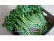 Vand patrunjel de frunza la snop in cantitati mari produse piata alimentatie 689913 poza 5