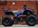ATV electric Eco Torino 800W 36V Deluxe cu Baterie detasabila #Blue