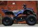 Atv electric eco torino 800w 36v deluxe cu baterie detasabila blue 698128 poza 2