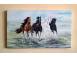 Vand tabloul si caii iubesc libertatea iubesc marea pictura in ulei p arta obiecte de colectie 710288 poza 3