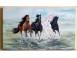 Vand tabloul si caii iubesc libertatea iubesc marea pictura in ulei p arta obiecte de colectie 710288 poza 1