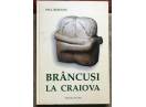 Brancusi la Craiova, Paul Rezeanu