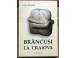 Brancusi la craiova paul rezeanu carti muzica filme 718022 poza 1