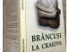 Brancusi la craiova paul rezeanu carti muzica filme 718022 poza 2