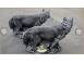 Statueta animal lup gri patinat model s78. 719984 poza 3
