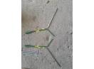Arc semanatoare Amazone