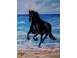 Tabloul calutul black beauty si marea pictura in ulei pe panza arta obiecte de colectie 794816 poza 1