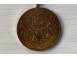 Medalie 23 august 1944 1984 arta obiecte de colectie 809555 poza 5