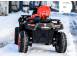 Atv triumph 812308 poza 7