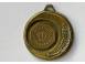 Medalie sportiva mentiune arta obiecte de colectie 817271 poza 3