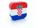 Croata, Sarba, Albaneza, Macedoneana, Bosniaca [engleza] - efectuez traduceri in Oradea + Romania