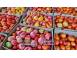 Rasad rosii tomate rasaduri rosii prekos inima de bou ardei etc cereale plante pomi 854137 poza 1