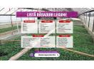 Rasaduri de rosii pentru solar si camp | Rasad legume ardei castraveti