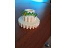 Pinion semanatoare Amazone