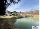 Casa de vacanta cu balta de peste de vanzare in Glogovet (Valea Lunga) - Blaj