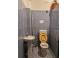 Spatiu comercial hale inchiriat cluj napoca centru 892281 poza 6