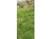 Teren de vanzare abrud 892747 poza 4
