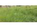 Teren de vanzare abrud 892747 poza 3
