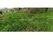 Teren de vanzare abrud 892747 poza 5