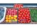 Rasaduri legume rasad de rosii tomate ardei vinete castraveti varza cereale plante pomi 895661 poza 6