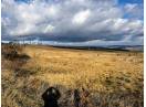 9000 mp teren de vanzare tureni peste drum de termoport