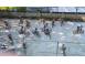 Cabana cazare turism predeal 897168 poza 3