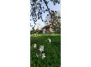 Casa veche cu teren intravilan la 18km de Cluj-N in Comsesti(com.Tureni)