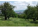 Teren intravilan, 2367 m², Colonia Breaza