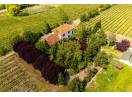 Domeniul Hellburg– 16,27 ha vie + 1,4 ha intravilan