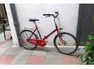 Bicicleta Pegas Camping 24 Bike