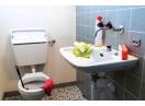 Instalator profesionist-Reparatii instalatii tehnico-sanitare, sector 1-2-3-4-5-6, Bucuresti